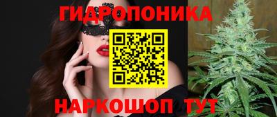 МДПВ Можайск