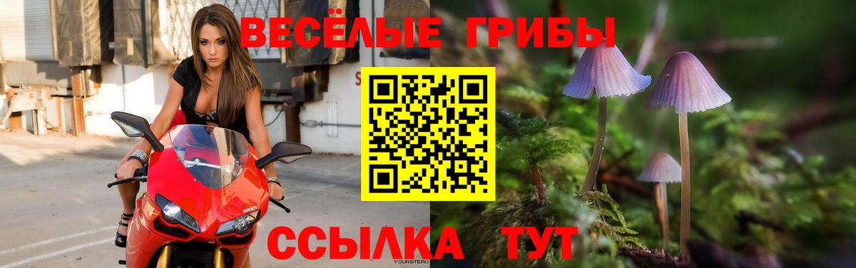 Солнечногорск  Галлюциногенные грибы Psilocybe  Вход с VPN 